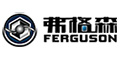 弗格森