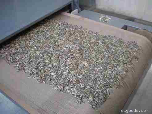 微波坚果类干燥设备