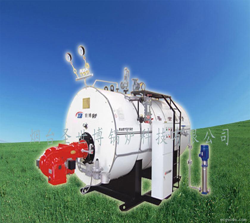 燃油气蒸汽锅炉
