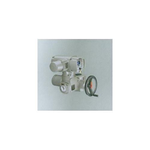 德国欧玛AUMA执行器