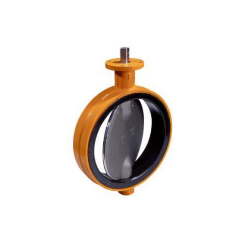 荷兰Wouter Witzel蝶