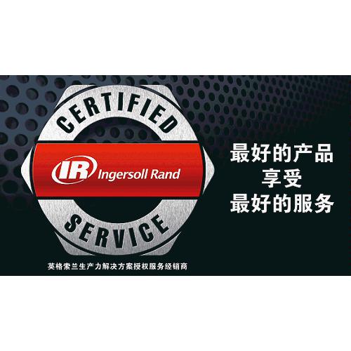 英格索兰气动隔膜泵