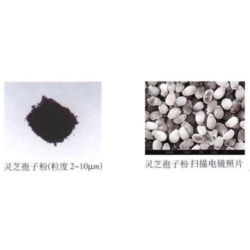 农副产品超细粉体