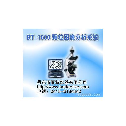 图像颗粒分析系统BT-1600