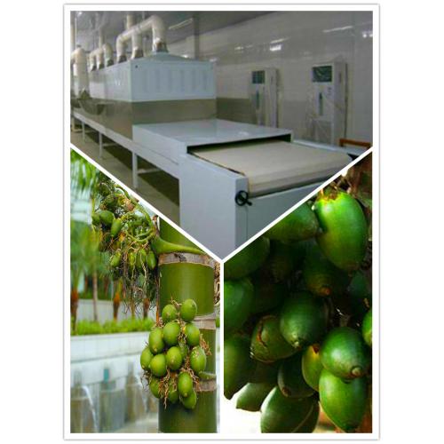 微波槟榔烘干膨化设备