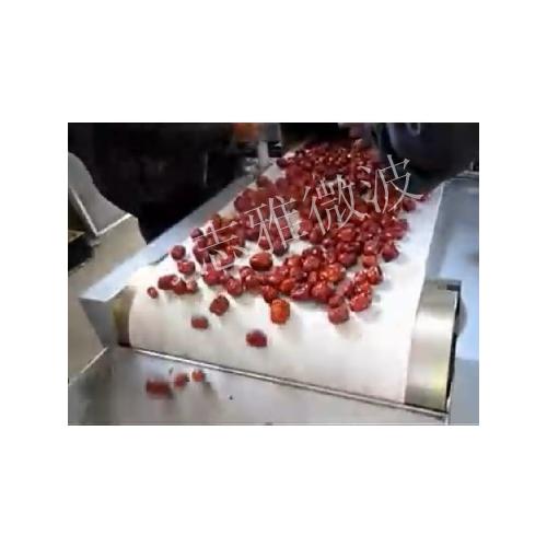 微波红枣烘干设备