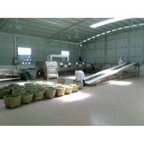 微波茶叶烘干机