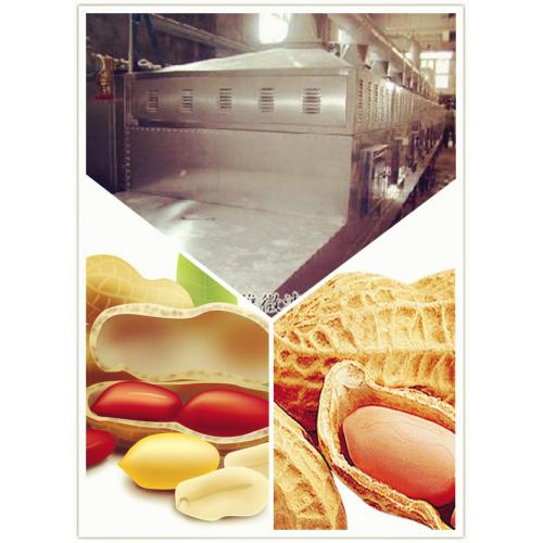 微波花生低温烘焙机