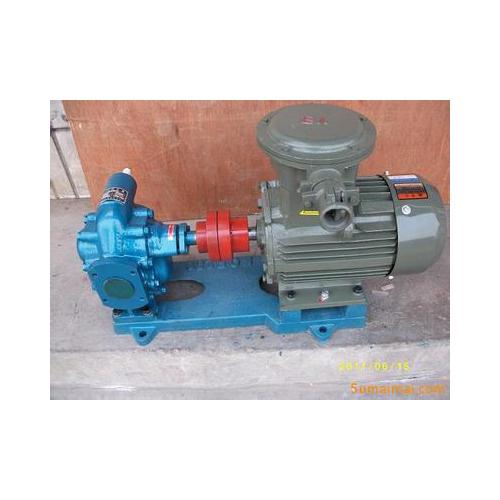 齿轮油泵，TCB防爆铜轮齿轮泵