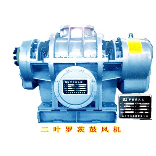 污水处理用高压罗茨鼓风机