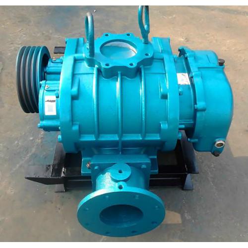 专业提供特殊气体加压风机