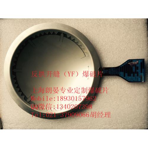 反拱开缝型爆破片YFA型防爆片