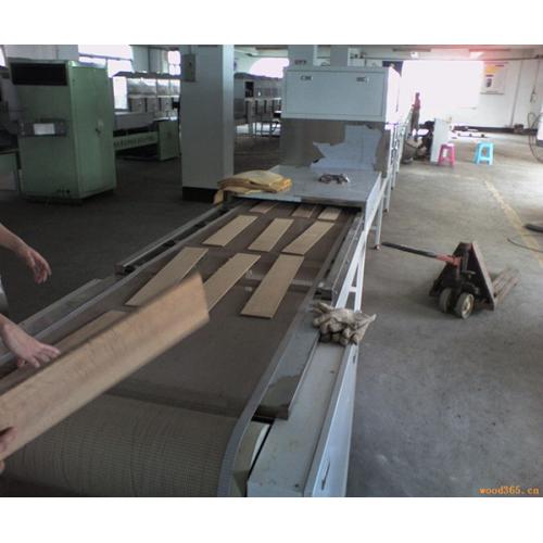 微波单板烘干设备