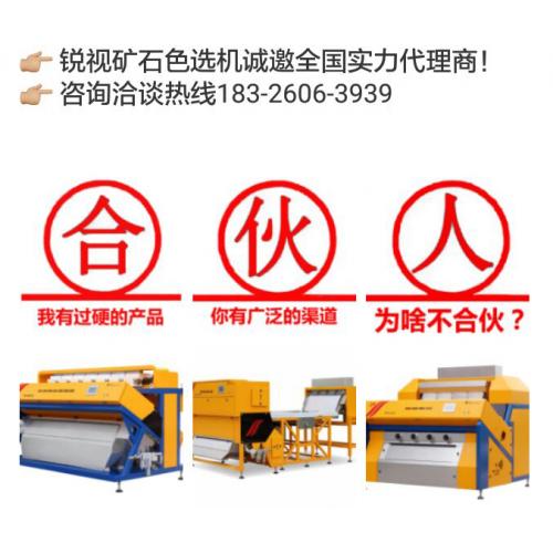 矿石色选机 锐视矿石色选机 安美达矿石色选机