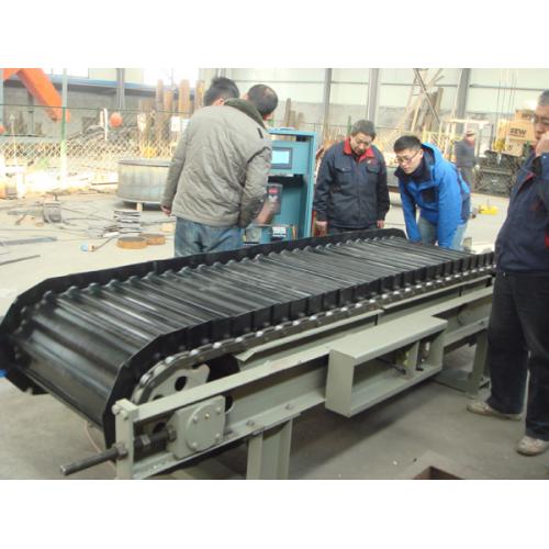 新型高温链板秤 厂家直销 质量可靠 可定制