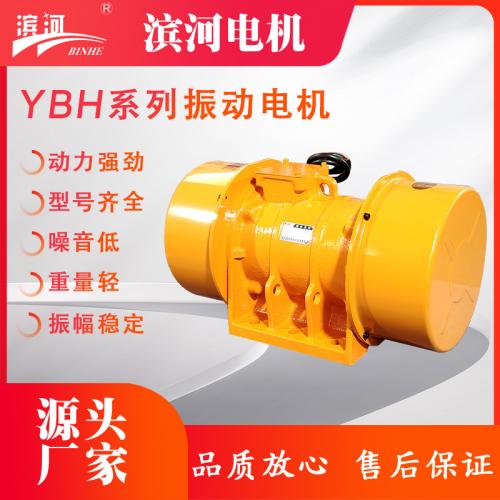 YBH系列三相异步通用型振动电机